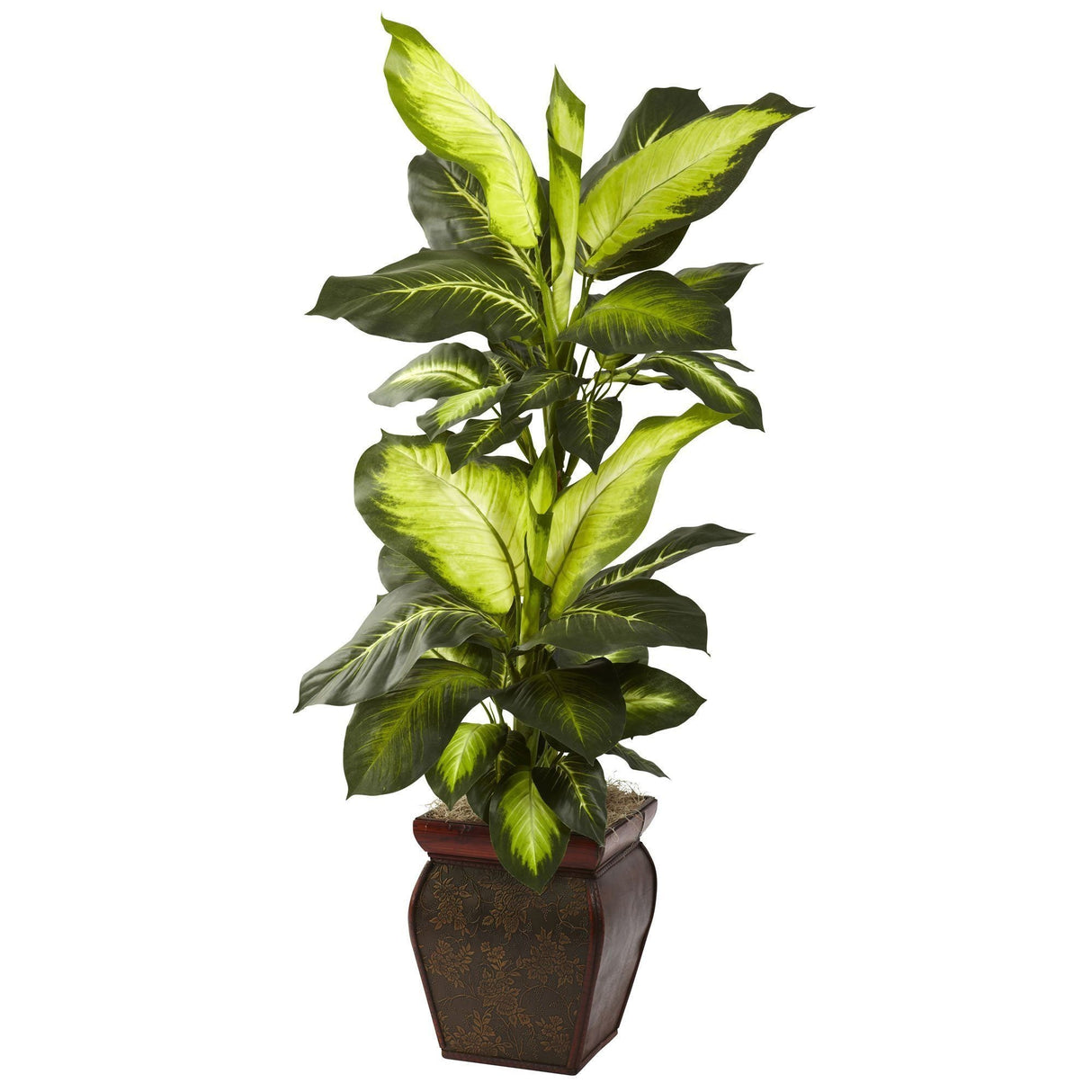 Golden Dieffenbachia w/Decorative Planter-Parc Decor