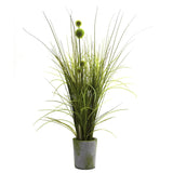 Grass & Dandelion w/Cement Planter-Parc Decor