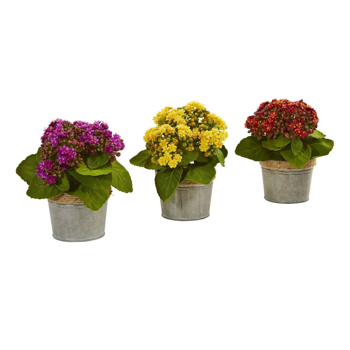 Kalanchoe Artificial Arrangements (Set of 3)-Parc Decor