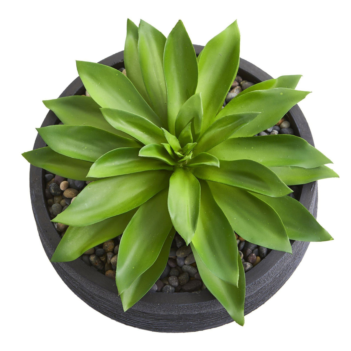 Large Succulent Artificial Plant in Decorative Bowl-Parc Decor