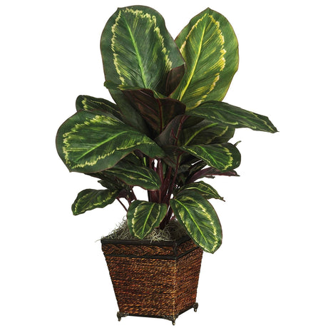 Maranta w/Basket Silk Plant-Parc Decor