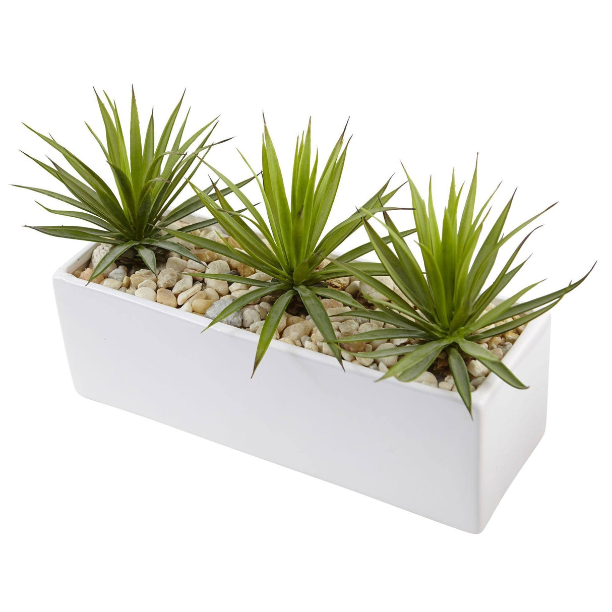 Mini Agave in Rectangular Ceramic-Parc Decor