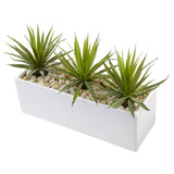 Mini Agave in Rectangular Ceramic-Parc Decor