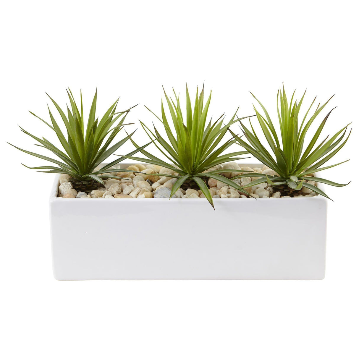 Mini Agave in Rectangular Ceramic-Parc Decor