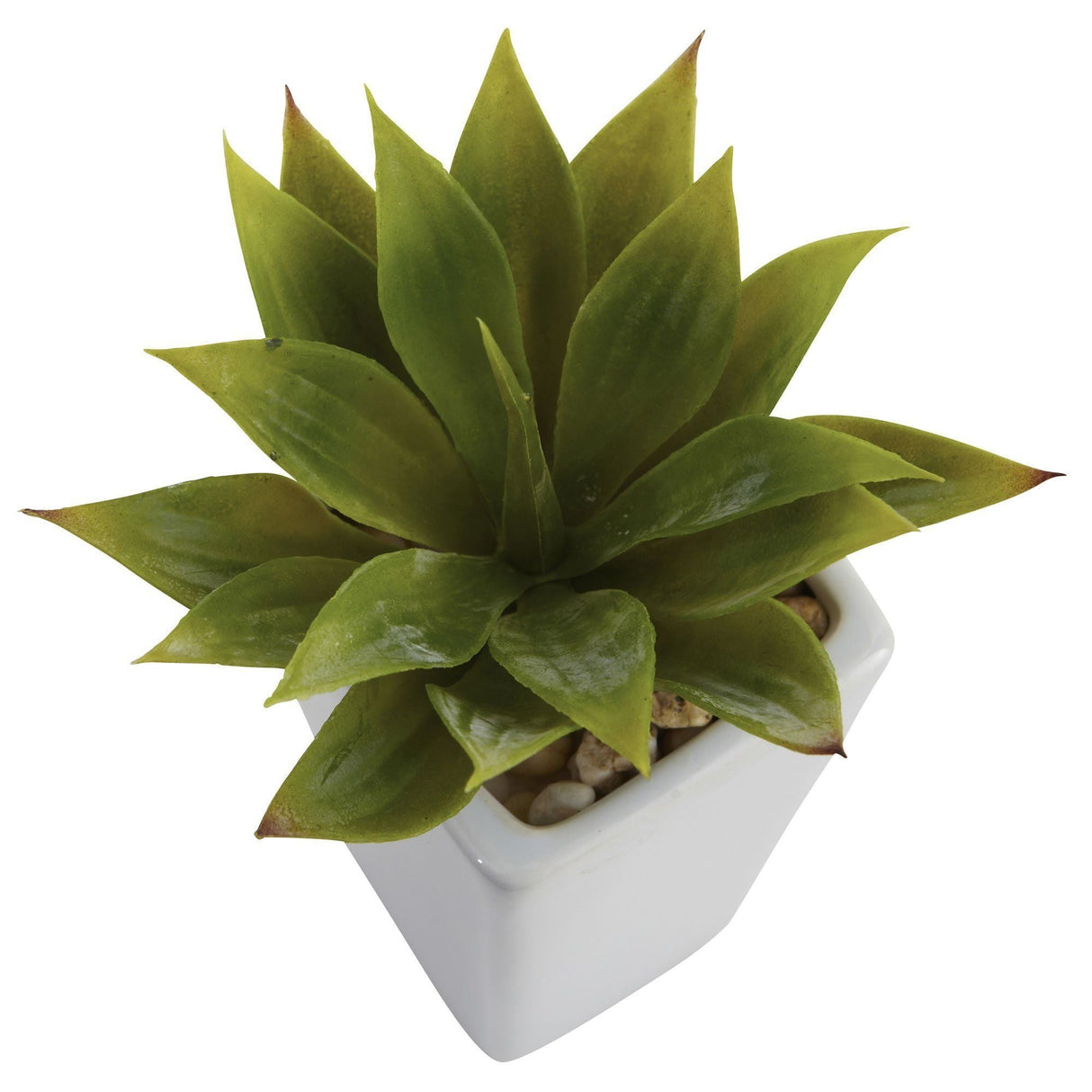Mini Agave w/ Planter (Set of 3) White-Parc Decor