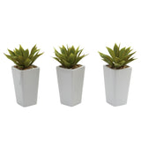 Mini Agave w/ Planter (Set of 3) White-Parc Decor
