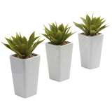 Mini Agave w/ Planter (Set of 3) White-Parc Decor