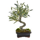 Mini Olive Artificial Bonsai Tree-Parc Decor