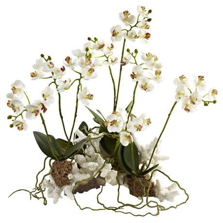 Mini Phalaenopsis Set on Coral-Parc Decor