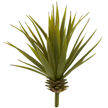 Mini Spiky Agave Succulent Plant (Set of 12)-Parc Decor