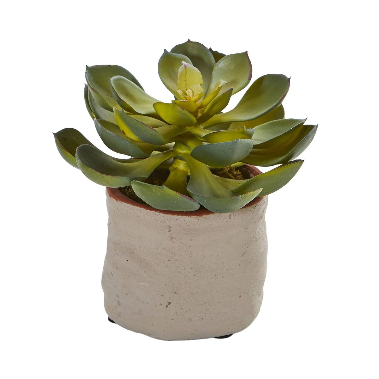 Mixed Succulent Artificial Plant (Set of 4)-Parc Decor