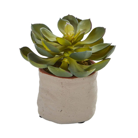 Mixed Succulent Artificial Plant (Set of 4)-Parc Decor