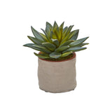 Mixed Succulent Artificial Plant (Set of 4)-Parc Decor