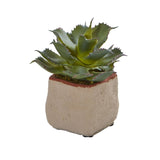 Mixed Succulent Artificial Plant (Set of 4)-Parc Decor