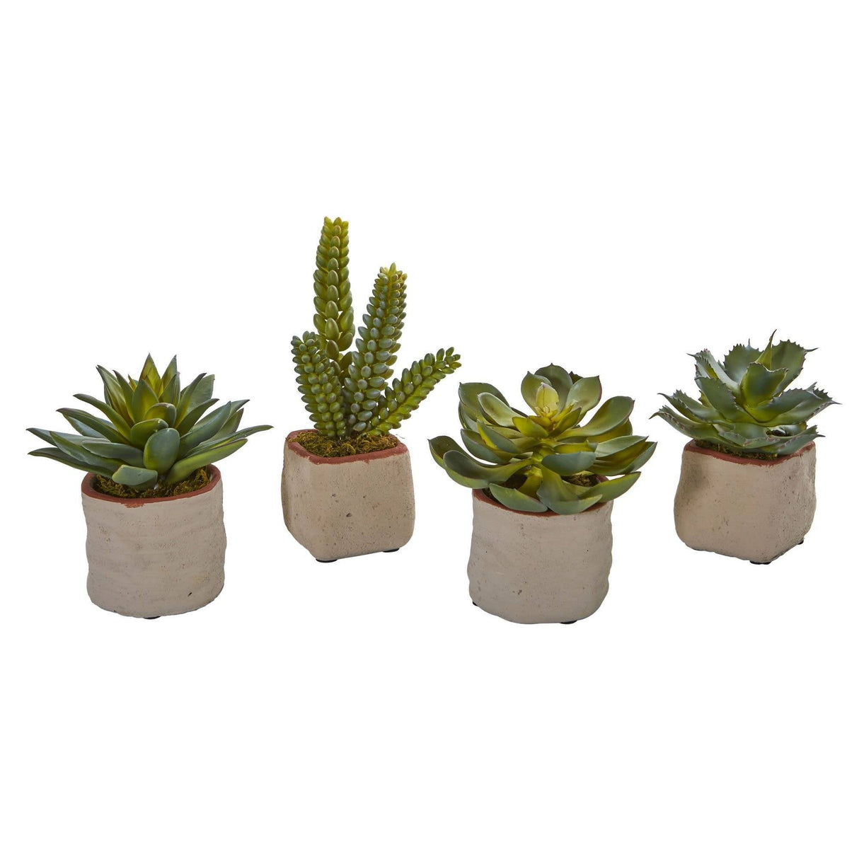 Mixed Succulent Artificial Plant (Set of 4)-Parc Decor