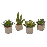 Mixed Succulent Artificial Plant (Set of 4)-Parc Decor