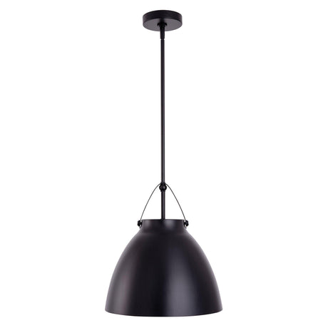 Modern 1-Light Metal Dimmable Island Pendant Light-Parc Decor
