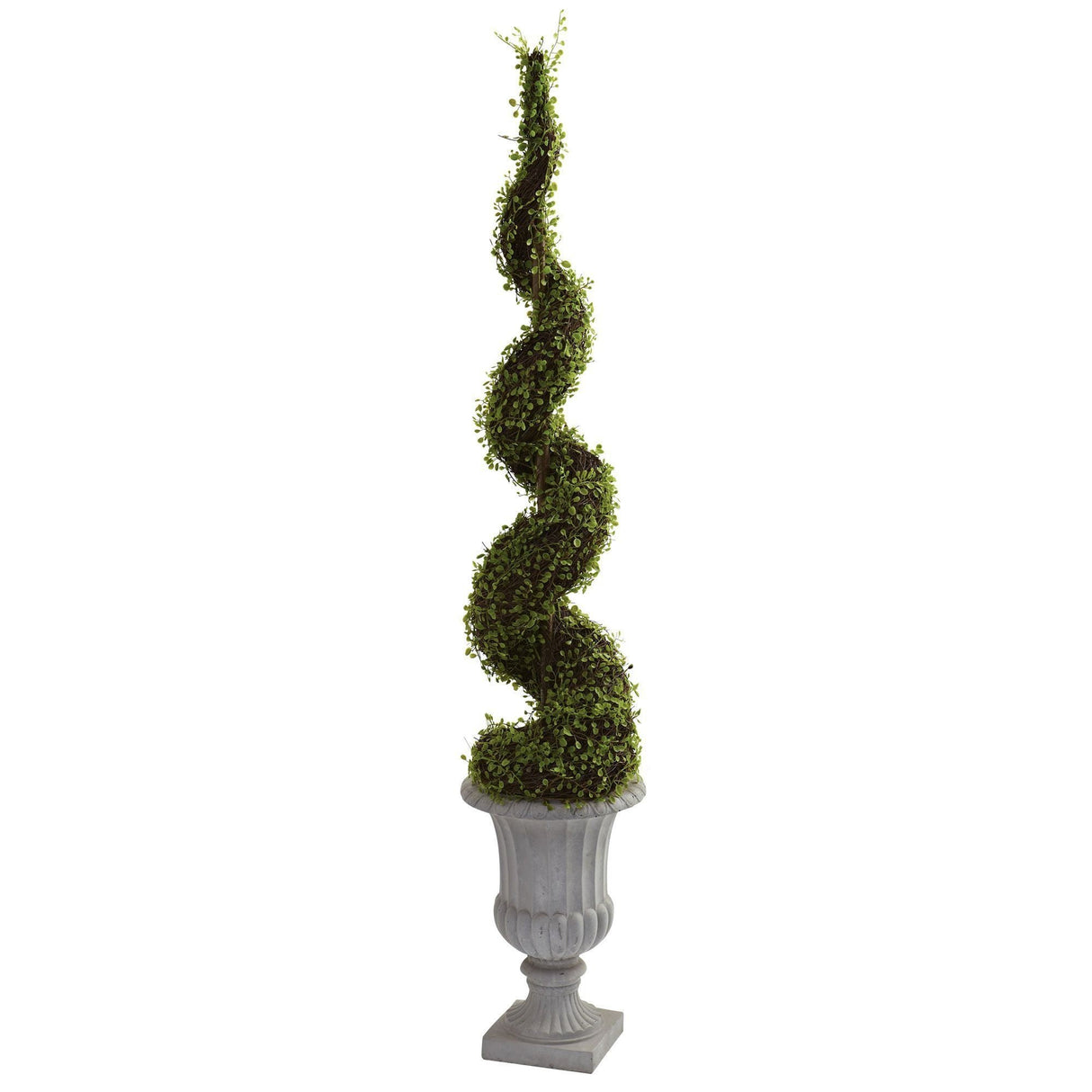 Mohlenbechia Spiral Tree w/Decorative Urn-Parc Decor