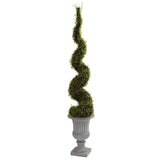 Mohlenbechia Spiral Tree w/Decorative Urn-Parc Decor