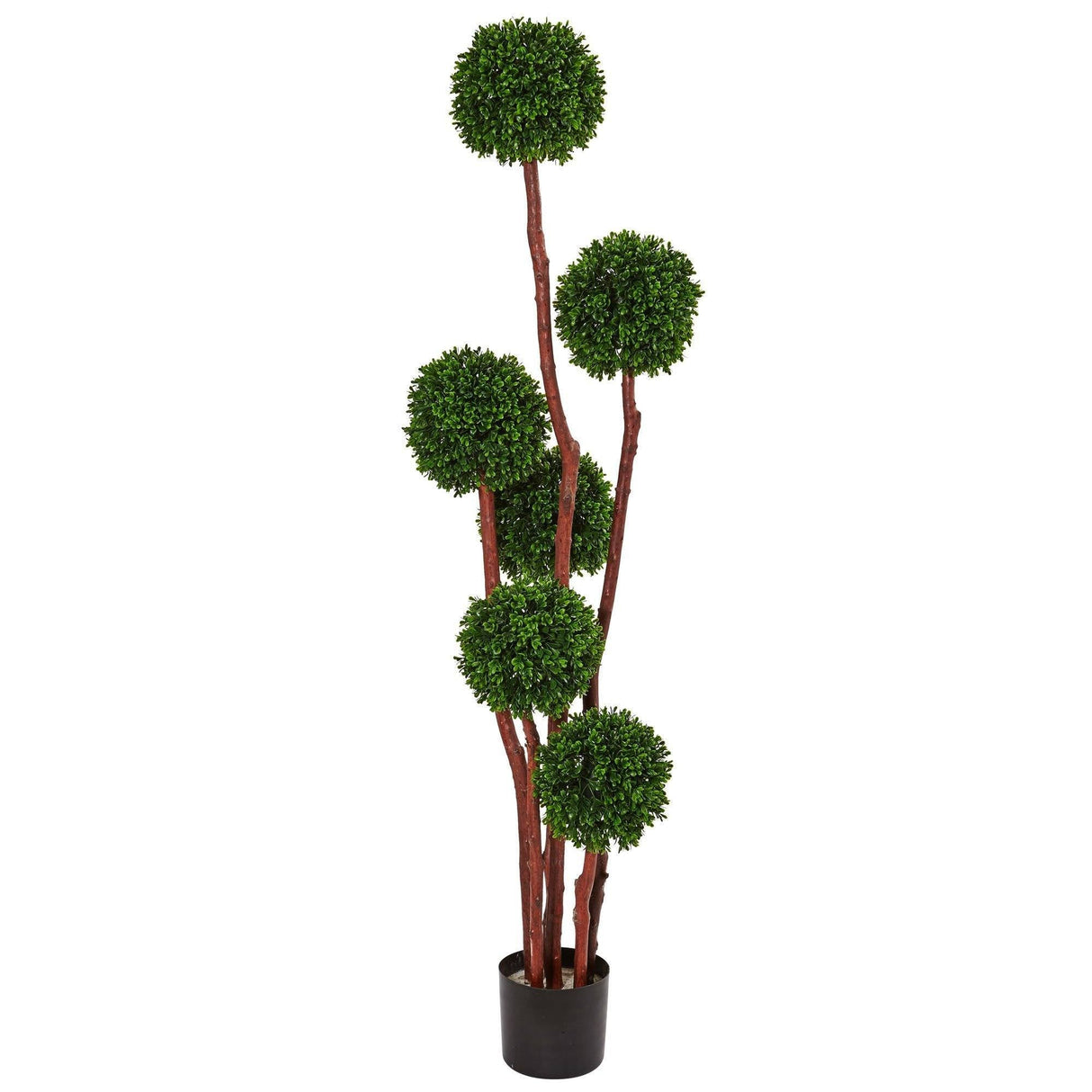 New Boxwood Tree UV Resistant (Indoor/Outdoor)-Parc Decor