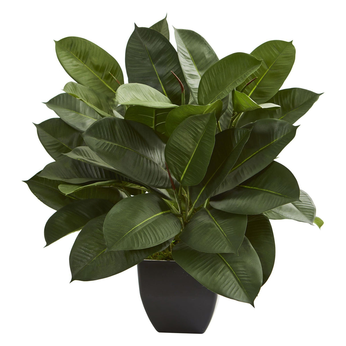 Oak Ficus Artificial Plant-Parc Decor