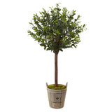 Olive Topiary Tree with Farmhouse Planter-Parc Decor