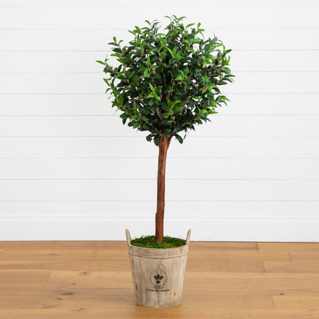 Olive Topiary Tree with Farmhouse Planter-Parc Decor