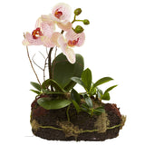 Orchid Island (Set of 2)-Parc Decor