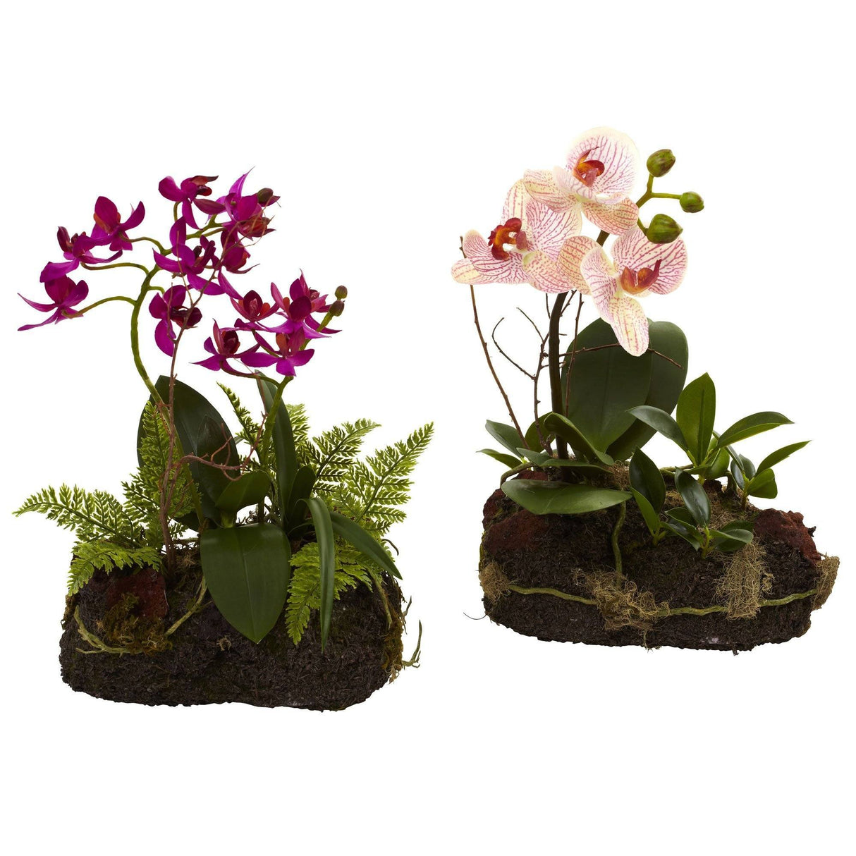 Orchid Island (Set of 2)-Parc Decor