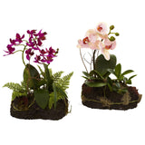Orchid Island (Set of 2)-Parc Decor
