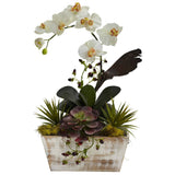 Orchid & Succulent Garden w/White Wash Planter-Parc Decor