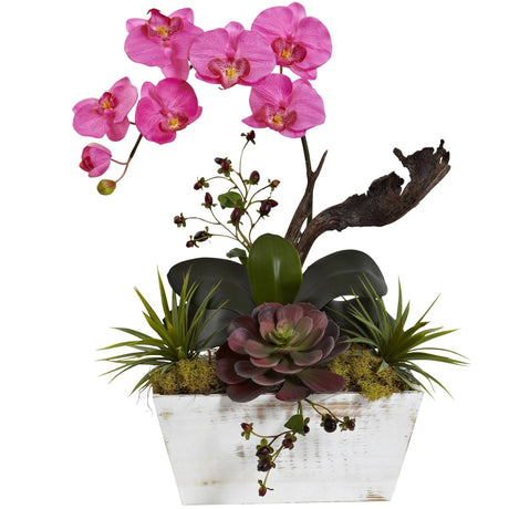 Orchid & Succulent Garden with White Wash Planter-Parc Decor