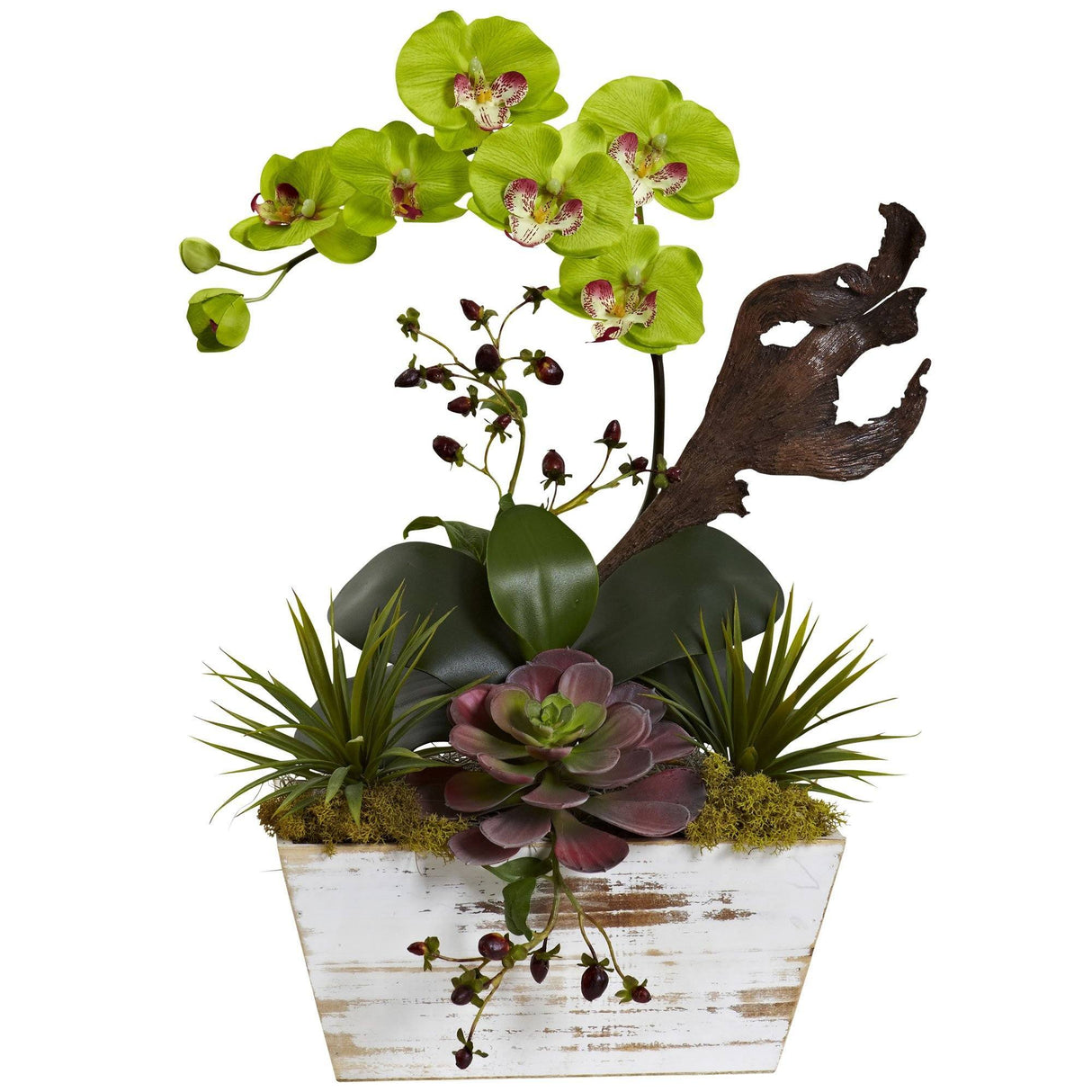 Orchid & Succulent Garden with White Wash Planter-Parc Decor