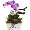 Orchid & Succulent Garden with White Wash Planter-Parc Decor