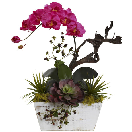 Orchid & Succulent Garden with White Wash Planter-Parc Decor