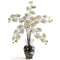 Phalaenopsis Liquid Illusion Silk Flower Arrangement-Parc Decor