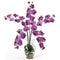 Phalaenopsis Liquid Illusion Silk Flower Arrangement-Parc Decor