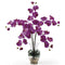 Phalaenopsis Liquid Illusion Silk Flower Arrangement-Parc Decor