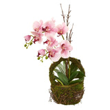 Phalaenopsis Orchid Artificial Arrangement in Twig Basket-Parc Decor
