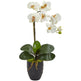 Phalaenopsis Orchid in Black Vase-Parc Decor