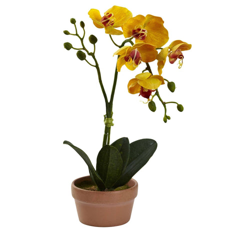 Phalaenopsis Orchid w/Clay Vase (Set of 4)-Parc Decor