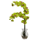 Phalaenopsis Orchid w/Vase Arrangement-Parc Decor
