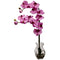 Phalaenopsis Orchid w/Vase Arrangement-Parc Decor