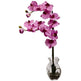 Phalaenopsis Orchid w/Vase Arrangement-Parc Decor