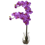 Phalaenopsis Orchid w/Vase Arrangement-Parc Decor
