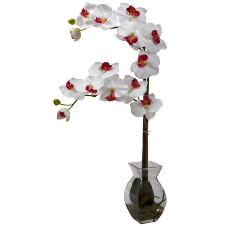 Phalaenopsis Orchid w/Vase Arrangement-Parc Decor