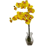 Phalaenopsis Orchid w/Vase Arrangement-Parc Decor