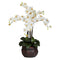 Phalaenopsis w/Decorative Vase Silk Flower Arrangement-Parc Decor
