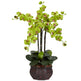 Phalaenopsis w/Decorative Vase Silk Flower Arrangement-Parc Decor