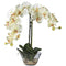Phalaenopsis w/Glass Vase Silk Flower Arrangement-Parc Decor
